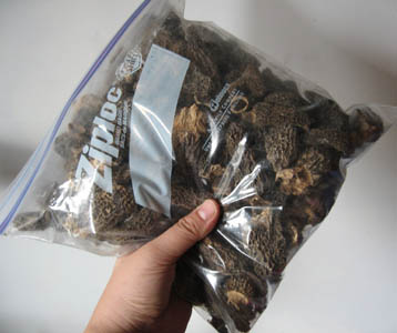 Bag of morel mushrooms
