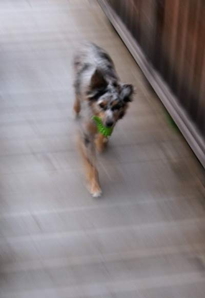 Photon, blurred