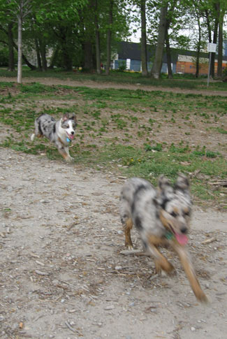 Photon running ahead of Cobalt