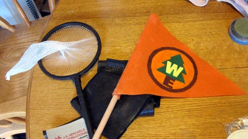flag and net