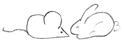 sketch of mouse and rabbit