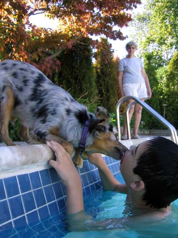 Photon licks Jon in the pool