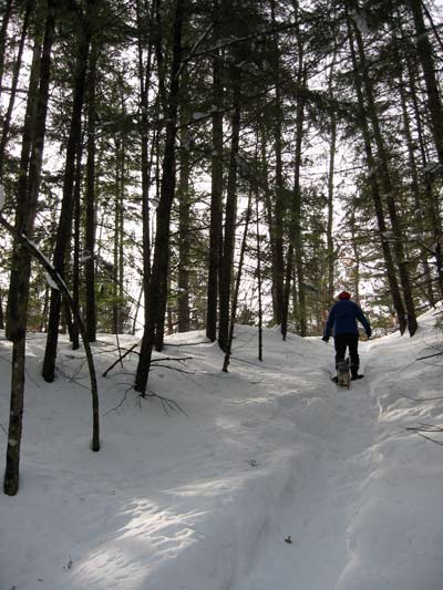 Paul snowshoeing up the ridge