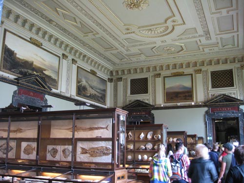 Typical room at the Natural History Museum