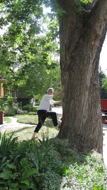 A man with greying hair posing trying to push over a large tree trunk
