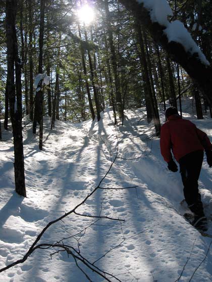 Paul snowshoeing up the ridge