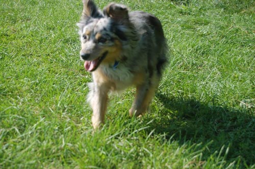 Photon at camp, more cheerful
