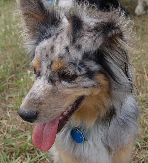 Happy Photon at camp