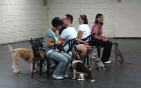 all of the musical chairs contestants