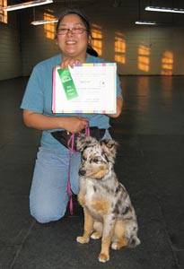 Photon's Family Dog graduation picture