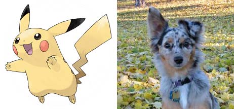 Pikachu and Photon--any similarities?