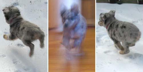 Photon running