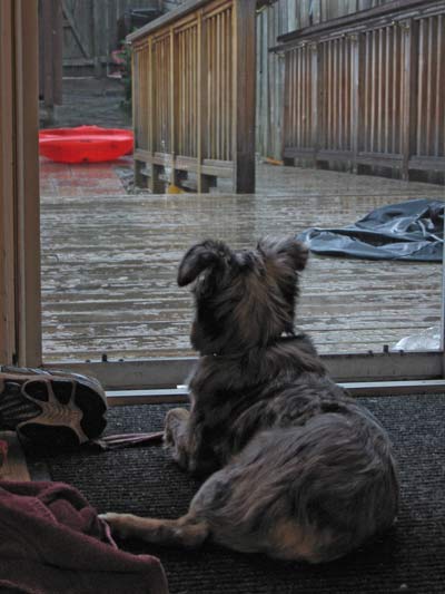 Photon looking at rain