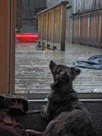 Photon looking outside and up