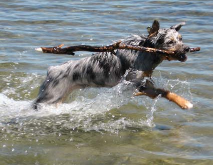 Photon bounding in the water