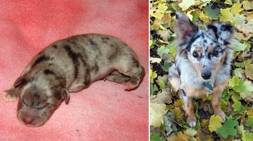 Photon as a newborn and now.