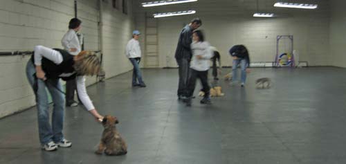 Puppy classroom and students