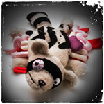 Roadkill stuffed raccoon