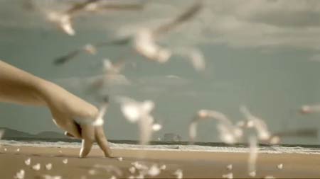 fingers walking on a beach among the seagulls
