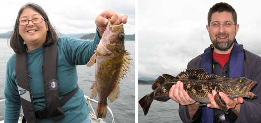 Peter and Laura's cods