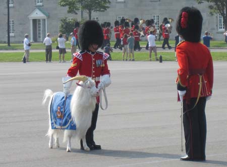 Changing of theGuard and Batisse the regimental goat