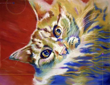 portrait of tabby cat