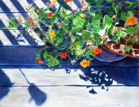 portrait of plant over porch boards