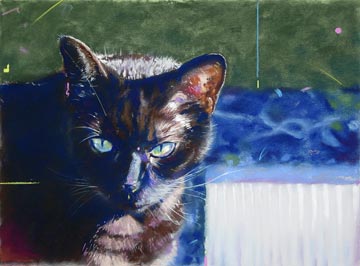 portrait of black cat