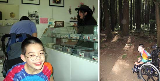 Lees candies and in the forest