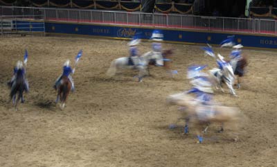 drill team horses at the rodeo