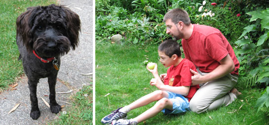 Playing with black dog Teagan